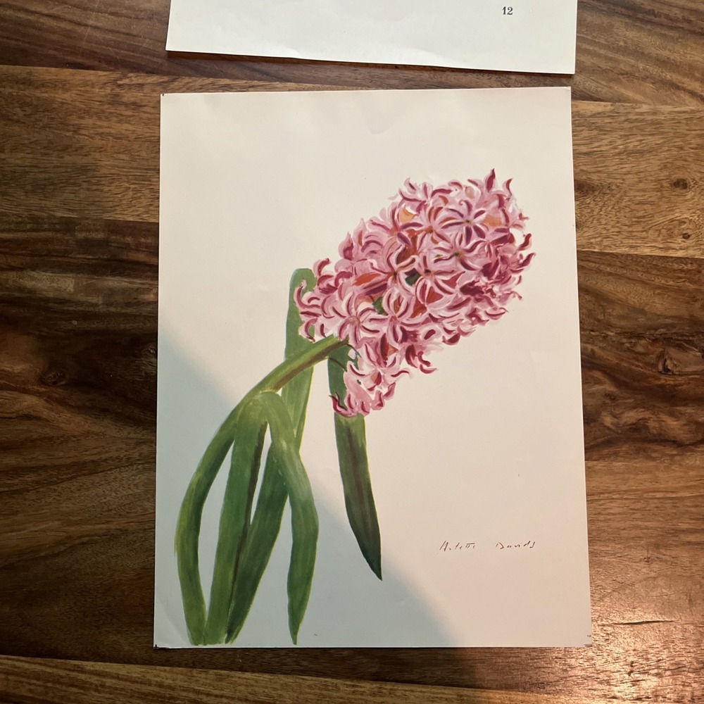Vintage 1940s Arlette Davids Spring Flowers Marconi Dutch Hyacinth Print #12